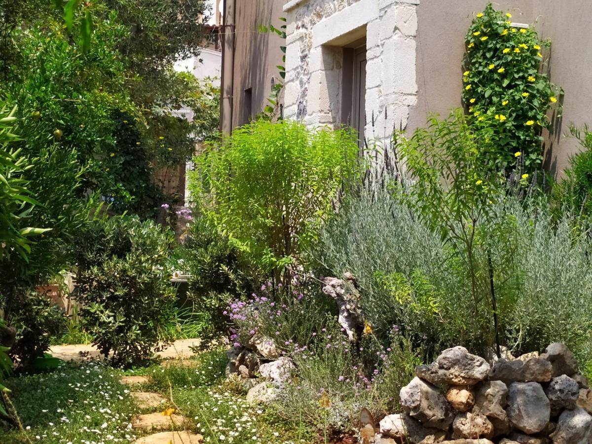 Olive Lemon Biophilic House & Lush Forest Garden Vamos Exteriör bild
