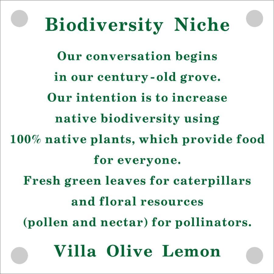 Olive Lemon Biophilic House & Lush Forest Garden Vamos Exteriör bild