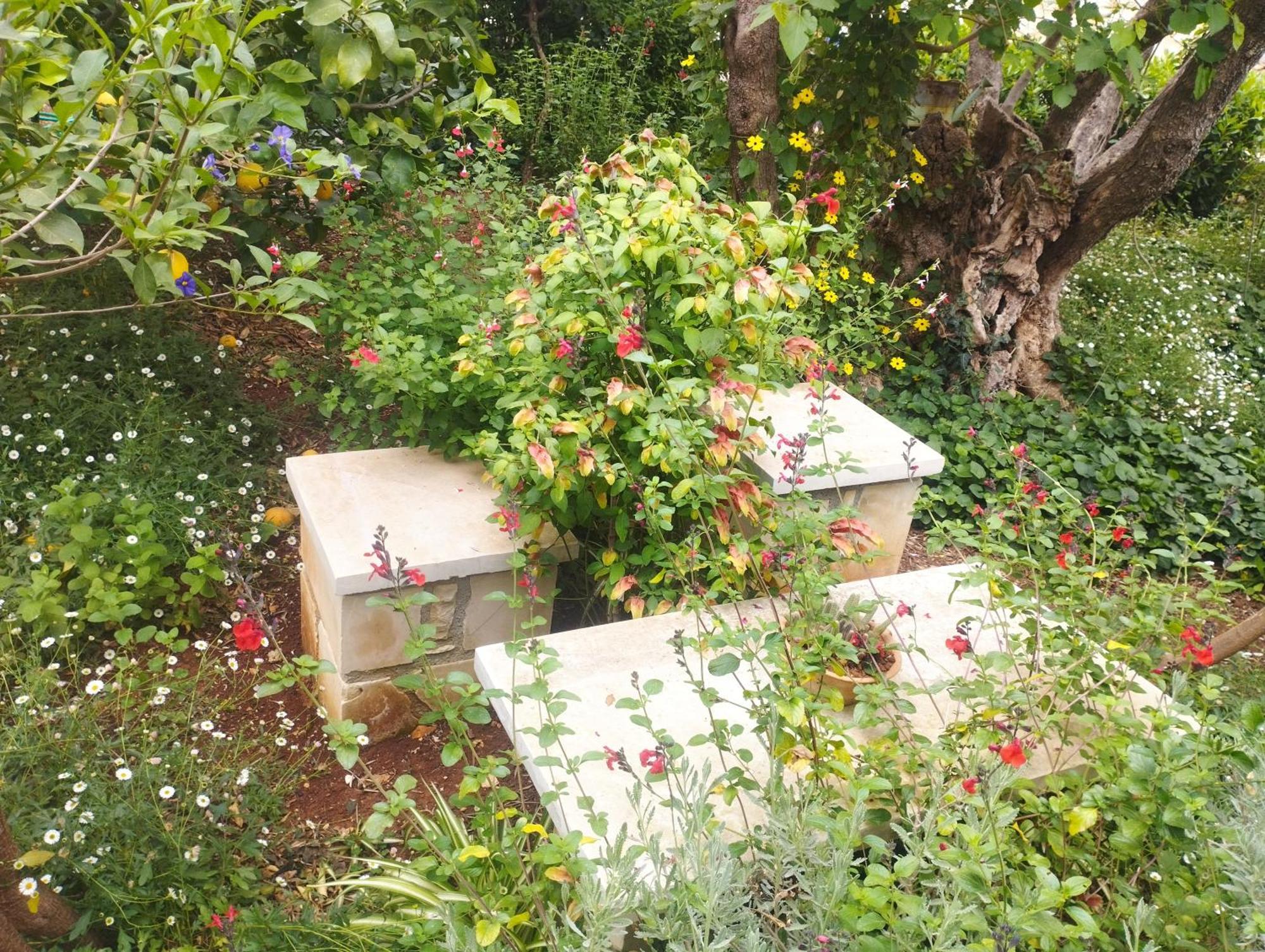 Olive Lemon Biophilic House & Lush Forest Garden Vamos Exteriör bild