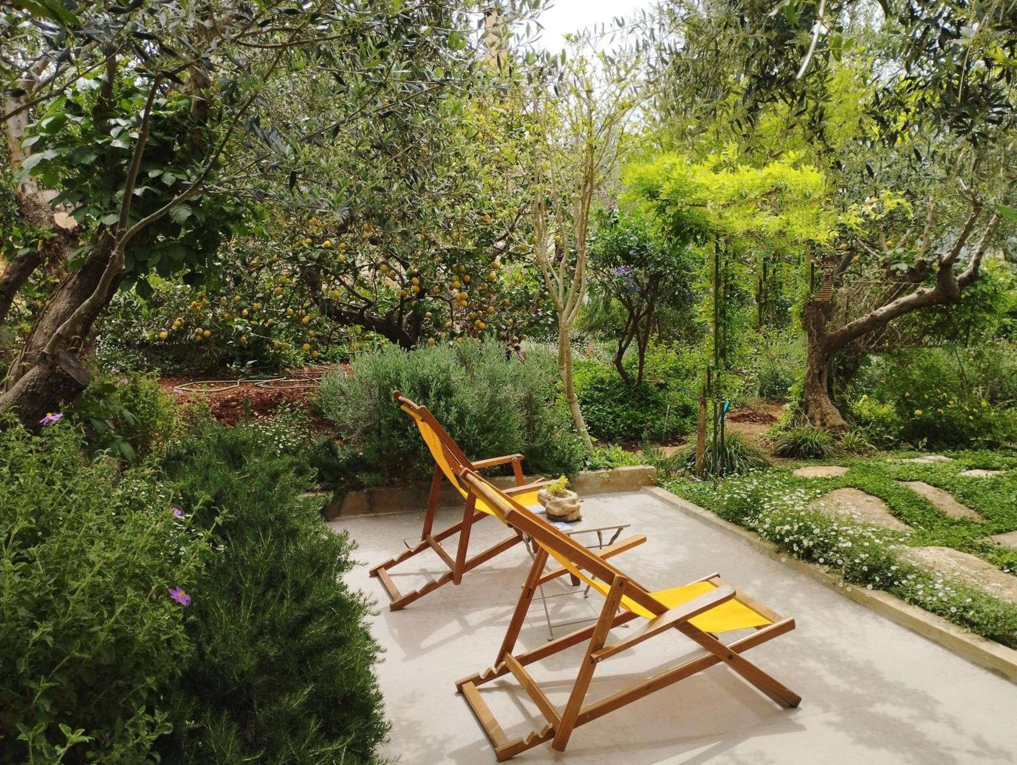 Olive Lemon Biophilic House & Lush Forest Garden Vamos Rum bild