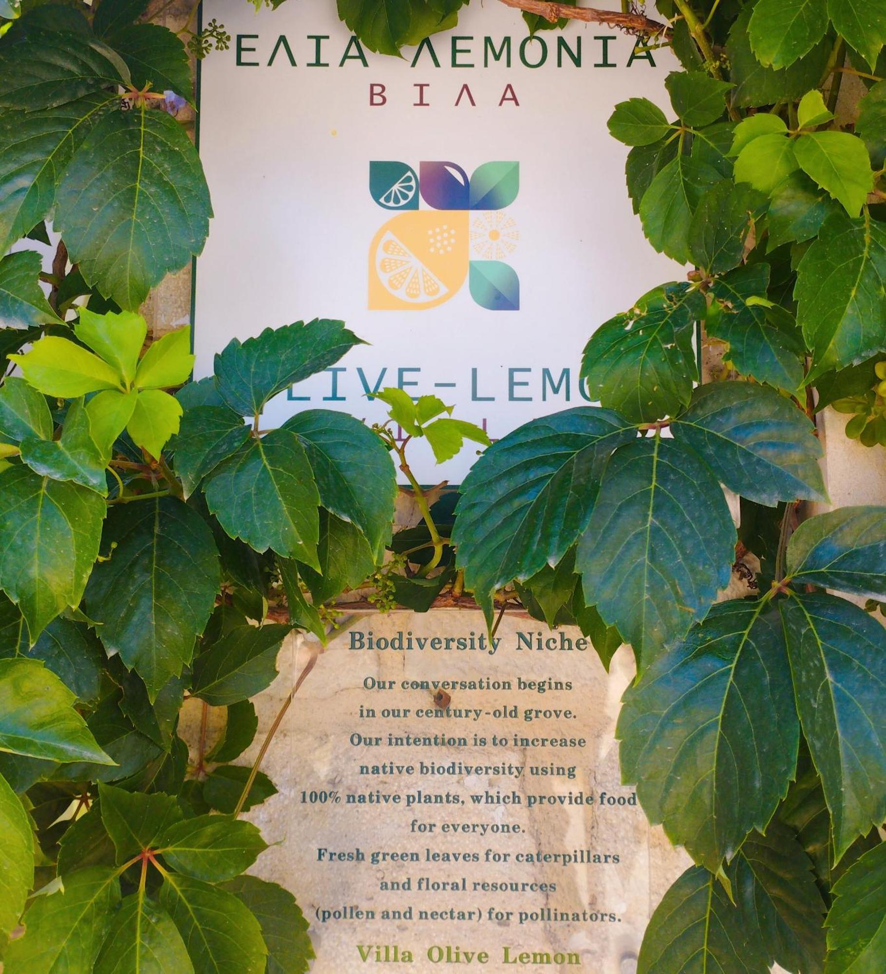 Olive Lemon Biophilic House & Lush Forest Garden Vamos Rum bild